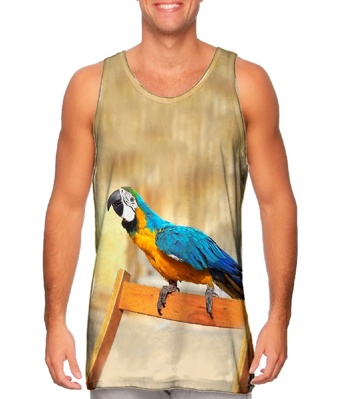 Chair Macaw Parrot