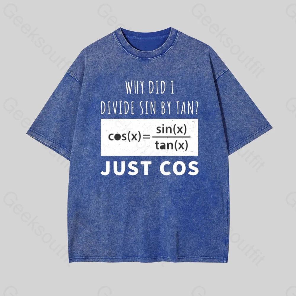 Why Did I Divide Sin By Tan Geek Washed T-shirt